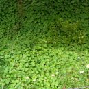 생초경로당 이미지