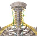 석한의원 이미지