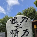 접도로 | 진도 접도