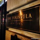 salon de NY 이미지