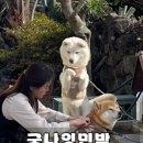 굿나잇 민박 이미지