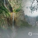 백골 MBN