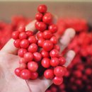 김가네농장 이미지