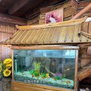 고성추어탕 이미지