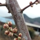 회춘농원