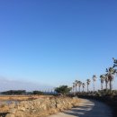 신천목장 이미지