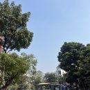 성요셉 무료급식소 | 하노이에서 생긴 일 ㅣ 하노이 기찻길, 호안끼엠호수, 성 요셉 성당, 맛집