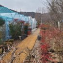 둘이농장 이미지