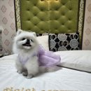 하이얀모텔 이미지