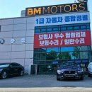 BM모터스 이미지