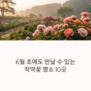 샘터3단지 고양시교통정보센터(19090) | 전국 작약꽃 명소 10곳 힐링 여행 떠나기 (당일/1박2일)