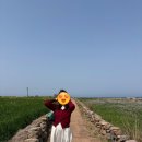 11545-03-26-28 | 가파도 방문후기(26/03/28)