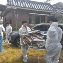 매월축산 이미지