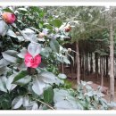 엄광산 나들숲길 이미지