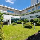 강남영어학원 네이버블로그
