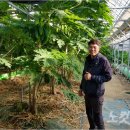 임마누엘팜 이미지