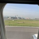 성림스테이 | 4월 말의 제주1