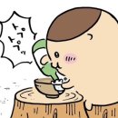 쿠리 이미지