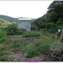 칠백농장 이미지