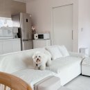 금배네 민박 이미지