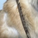 땡스마미 이미지