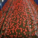 소돼지축산 이미지