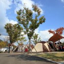 로얄카바나 이미지