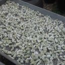 주왕산팬션민박 이미지