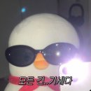 (주)데이바이미 - 금천구 시흥동 | 결혼준비 단톡방 유어데이 3개월차 멤버쉽 가입 후기