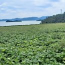 송평해수욕장2 이미지