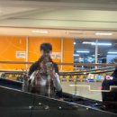 별동별약국 이미지