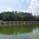 힐링낚시터 이미지