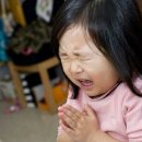 이유모터스 이미지