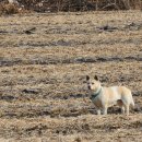 객현1리 이미지