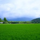 하대3구 이미지