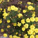 안양시율목종합사회복지관 이미지