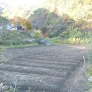 동천네 Daum카페