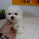 원주브리딩 이미지