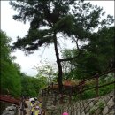 금잔디유치원 이미지