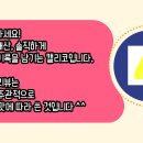 백프로수제돈까스 티스토리