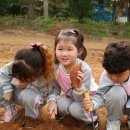 우리집 첫째 이미지