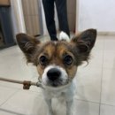 홍성읍 신성리마을회관 이미지