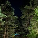 강림초 월현분교장 이미지