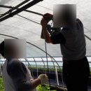 대류농장 이미지