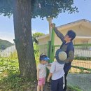 봉오초병설유치원 이미지