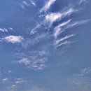 강산목장 이미지