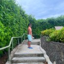 드림게임장 이미지