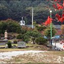 수원-1839 Daum카페