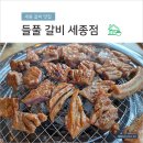 세종 양념 갈비 맛집, 들풀 숯불 갈비 세종점, 가족외식, 내돈내산 솔찍 후기