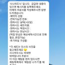 시나의두시피크닉 네이버블로그